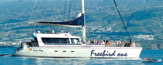 Freebird One 4 U – 3 Hour Sail